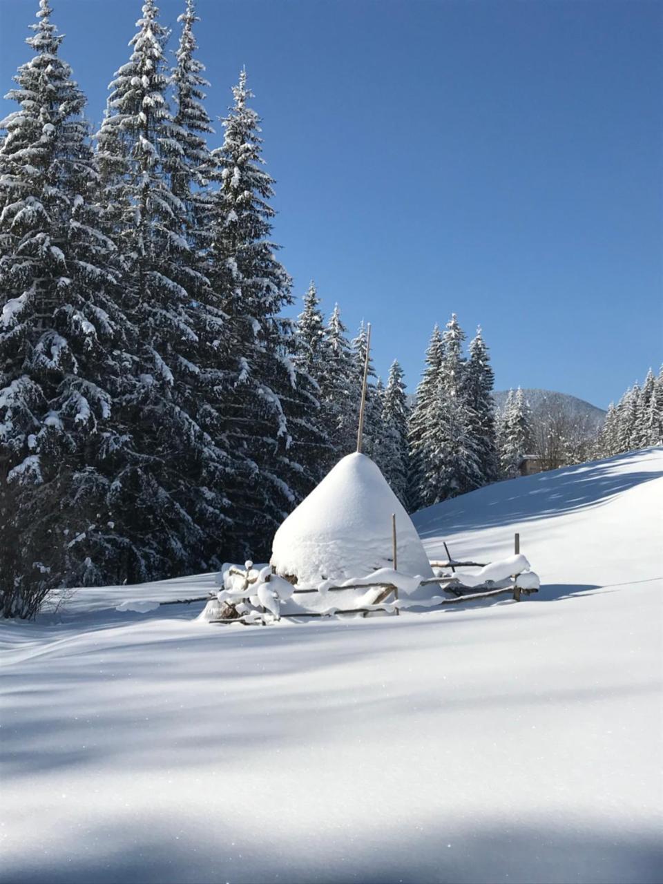 Вілла Софі Verkhovyna Exterior foto